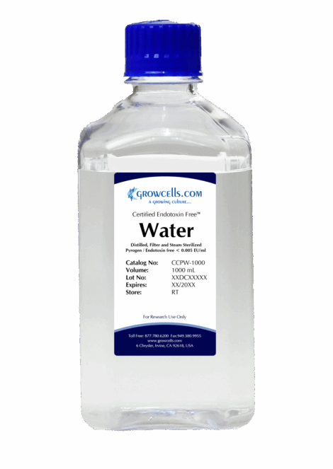 Waters