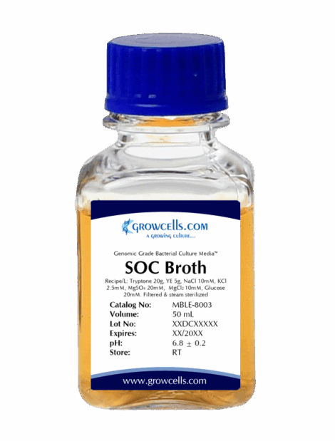 SOC Broth for E. coli Transformation