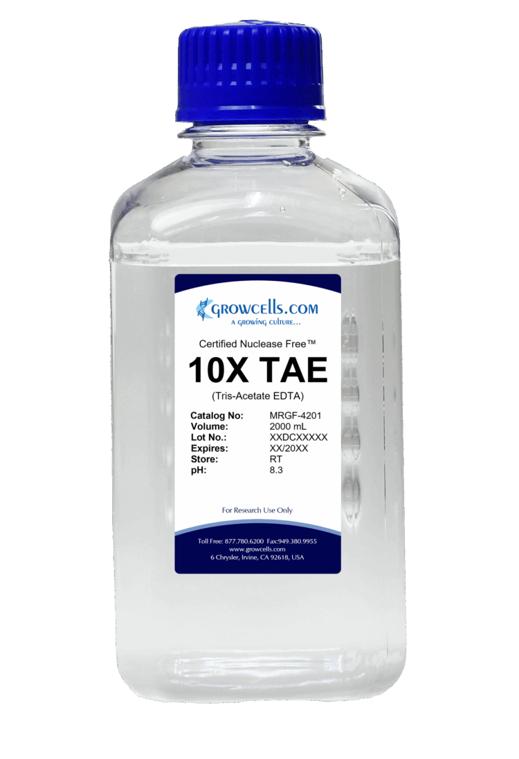 10X TAE (Tris-Acetate EDTA) pH 8.3