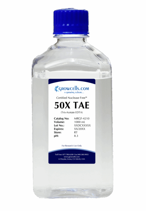 50X TAE (Tris-Acetate EDTA) pH 8.3