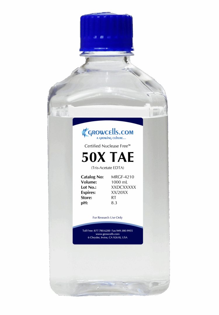 50X TAE (Tris-Acetate EDTA) pH 8.3