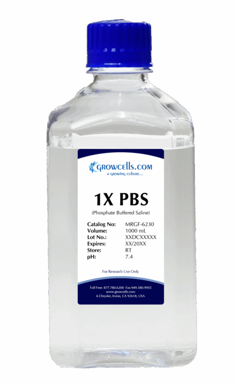 1X PBS (Phosphate Buffered Saline) pH 7.4