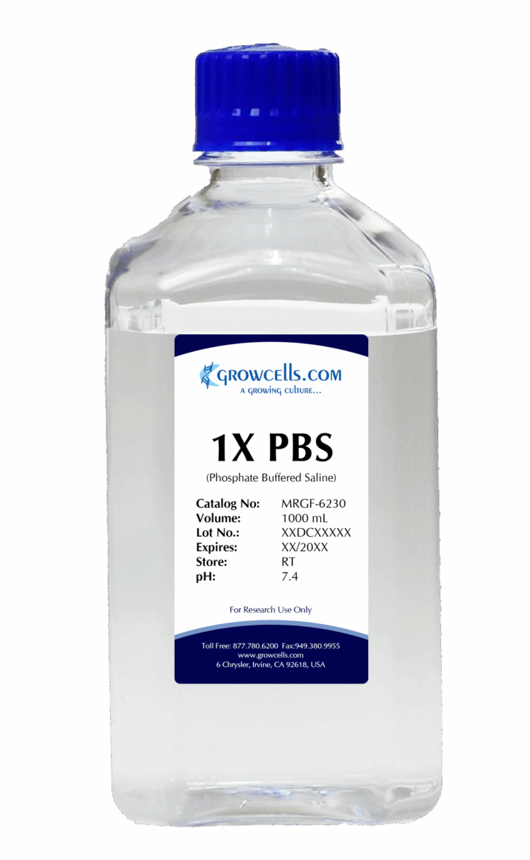 1X PBS (Phosphate Buffered Saline) pH 7.4