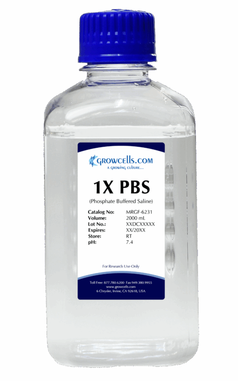 1X PBS (Phosphate Buffered Saline) pH 7.4