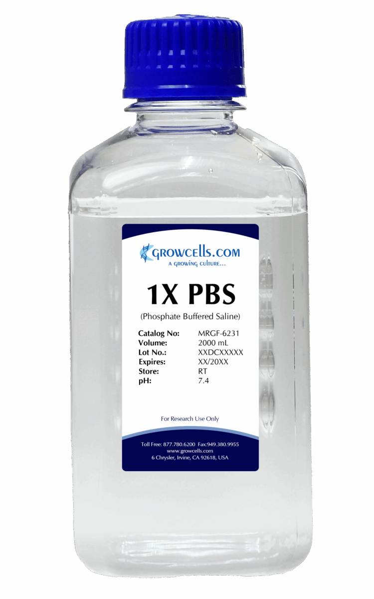 1X PBS (Phosphate Buffered Saline) pH 7.4