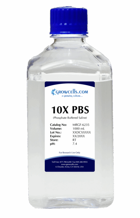 10X PBS (Phosphate Buffered Saline) pH 7.4