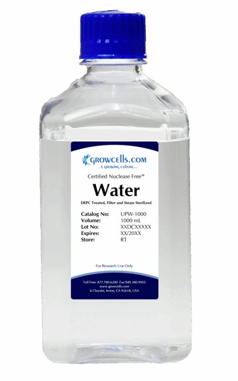 Nuclease Free Water - DEPC Treated
